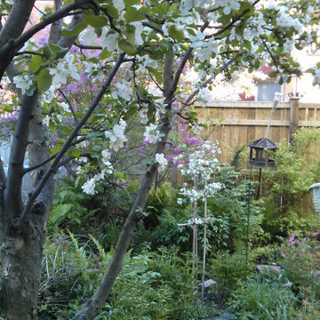 The Year of the Edible Gardens