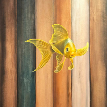 Koi Fish Master Bathroom Sliding Barn Door