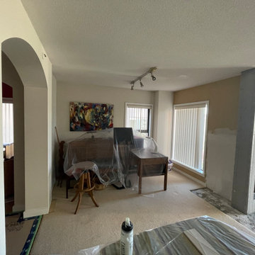 Fireplace redesign.