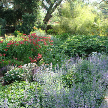 various photos