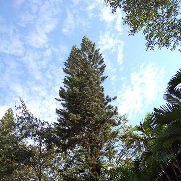 Landscape Gallery