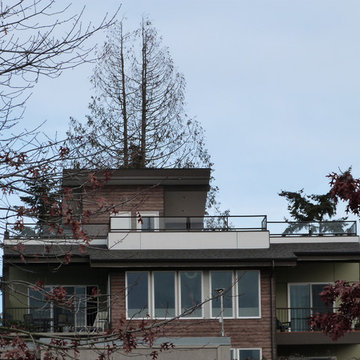 Ballard Contemporary Residence