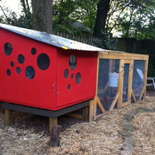 Chicken coops