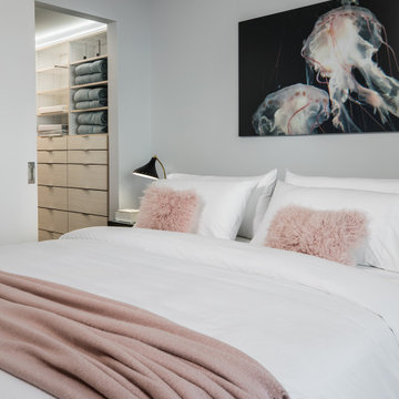 Downtown Miami Bedroom Remodel with Integrated Closet Storage