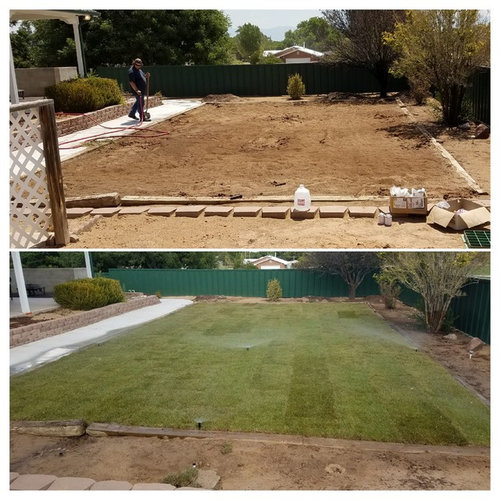 Sod installation and sprinkler repair