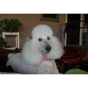 Carmen Brown's photo