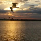 Jan Elizabeth Campbell's photo