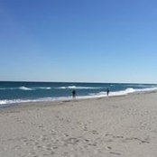 Sonja Fabian's photo