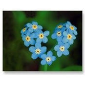 Pamela Rue's photo