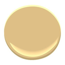 paint color