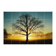 Trees