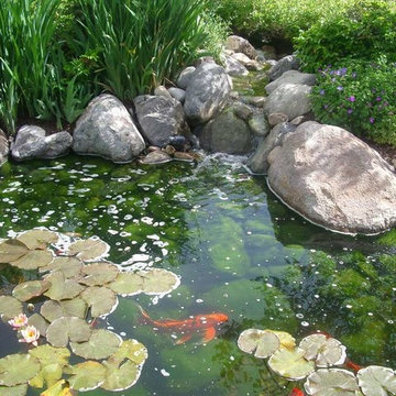 Water Features & Pools