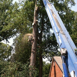 Tree Removal - Outdoor Products