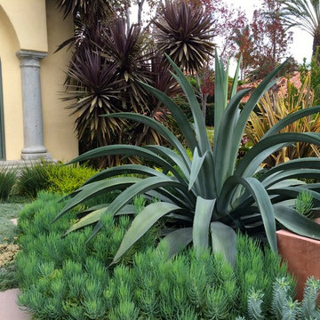 Front yard