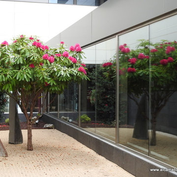 Rododendro ejemplar. JARDINES Centro Hospitalario Benito Menni. VALLADOLID
