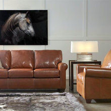 Living Room Ideas
