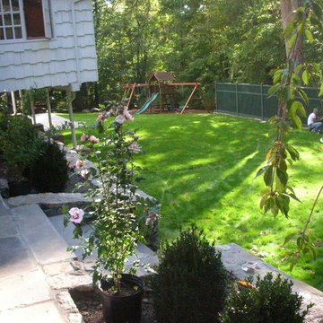 A New Backyard