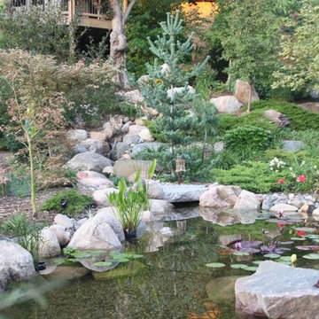 Enthusiasts' Pond