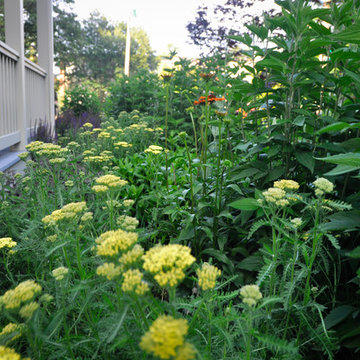 Urban Prairie- German Village