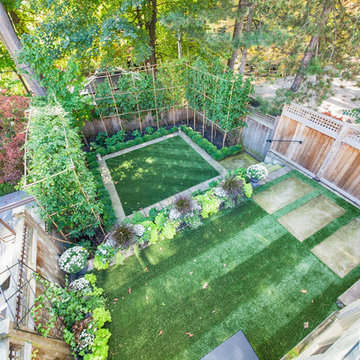 Bamboo Wall Backyard