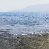 Bruna Grassi's photo
