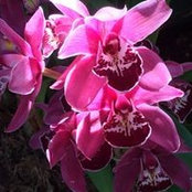 Annegret Tietz's photo