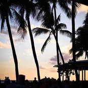 Giu Sti's photo