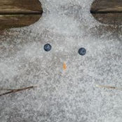 Helene Vitale's photo