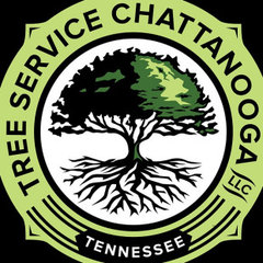 Common Ground Tree Service