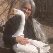 Nancy Denker's photo
