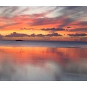 Thomas Sorrels's photo