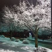 Roberta Woznicki's photo