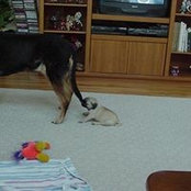 Nancy Tilley's photo
