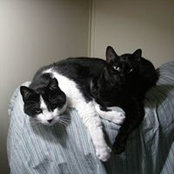 JoAnne Flint's photo