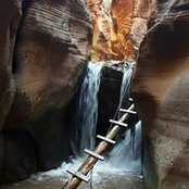 Stephanie Puro's photo