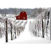 Joyce FitzGerald's photo