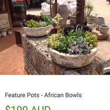 garden yard