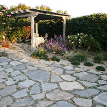 Landscape Ideas