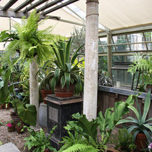 greenhouse