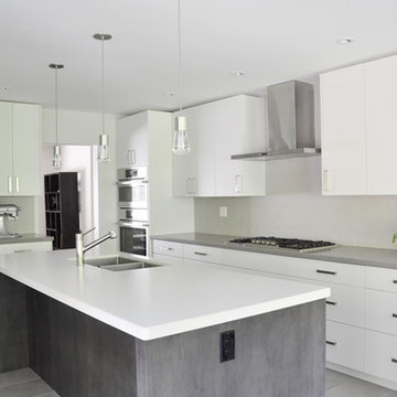Monochromatic Shades - Kitchen Renovation