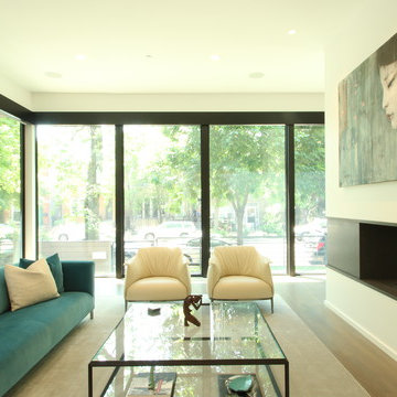 Chicago Bucktown Modern Masterpiece