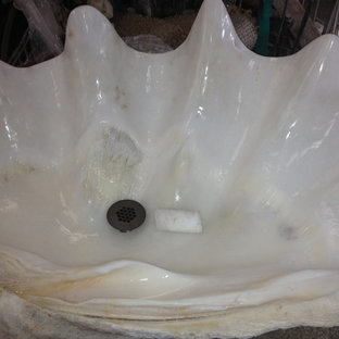 Giant Clam Shell Sink Houzz