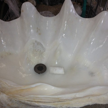 Real Clam Shell Sink Project