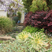 2025 Landscaping