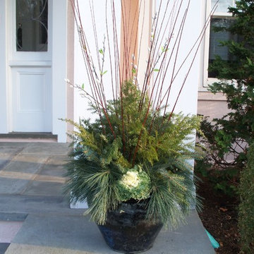 Winter Arrangements