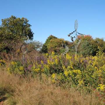 New England Aster and Goldenrod