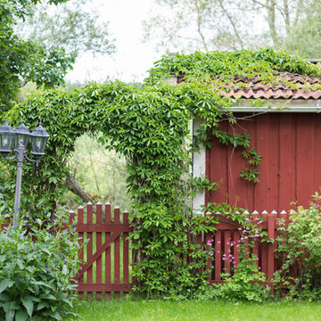 Referensbilder