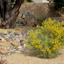 dry creek bed