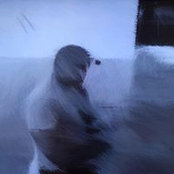 Michel Piquetteさんの写真