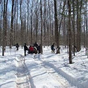 Pierre Gallant's photo